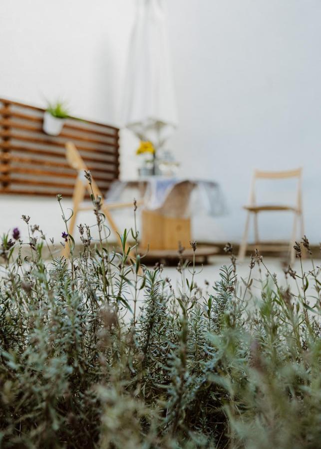 Major11 Apartman - Zsolnay Negyed Pecs Bagian luar foto
